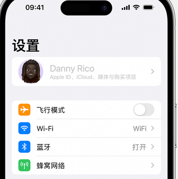 洪江appleID维修服务iPhone设置中Apple ID显示为灰色无法使用 