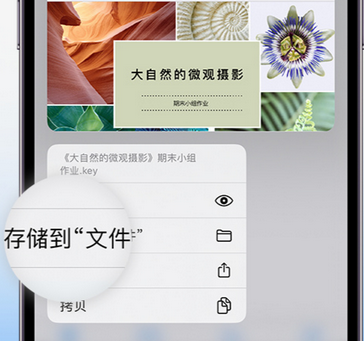 洪江apple维修中心分享iPhone文件应用中存储和找到下载文件