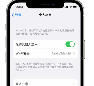 洪江apple服务站点分享iPhone上个人热点丢失了怎么办 