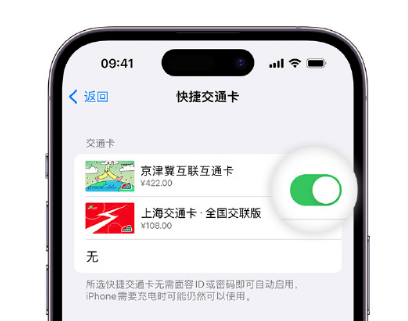 洪江apple维修点分享iPhone上更换Apple Pay快捷交通卡手绘卡面 