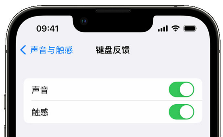 洪江苹果手机维修分享iPhone 14触感键盘使用方法 