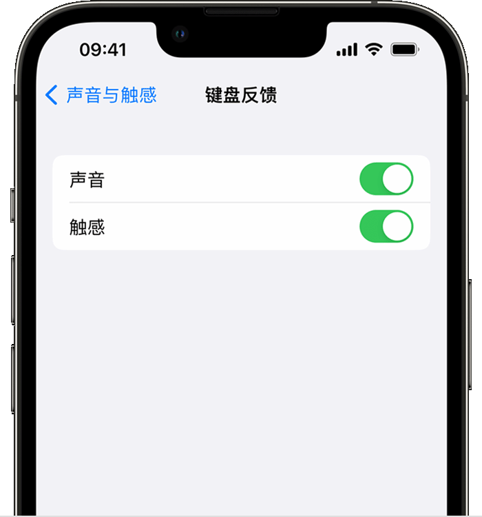 洪江苹果14维修店分享如何在 iPhone 14 机型中使用触感键盘 