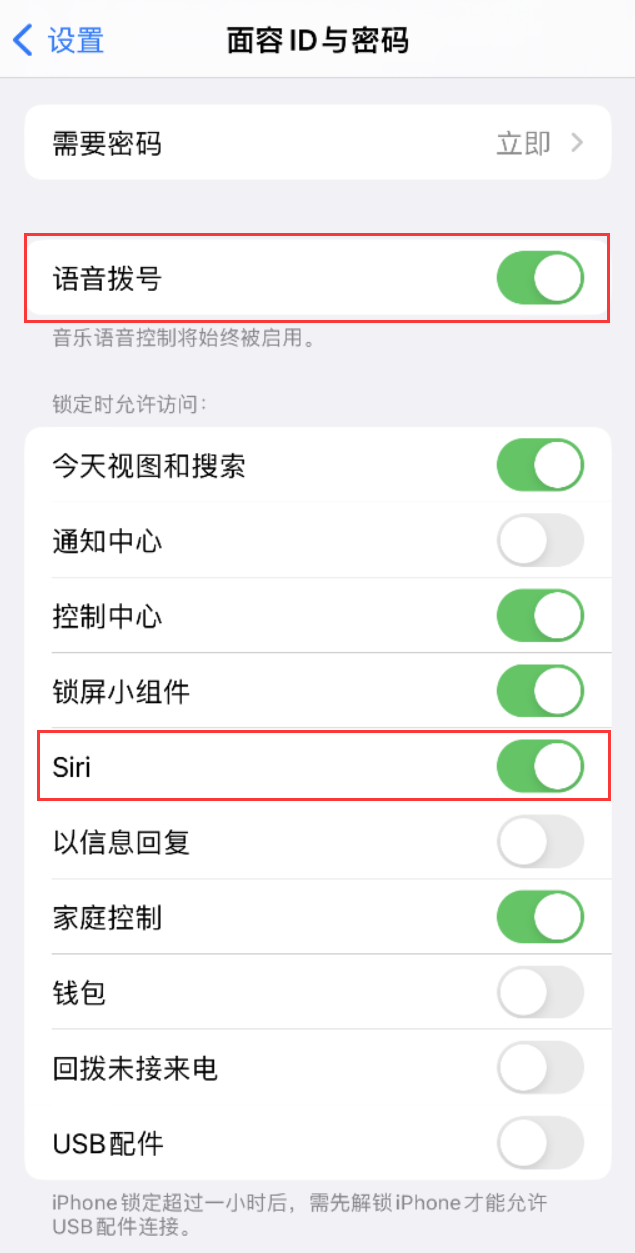 洪江苹果维修网点分享不解锁 iPhone 的情况下通过 Siri 拨打电话的方法 