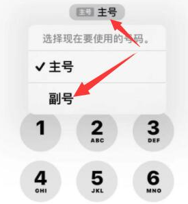 洪江苹果14维修店分享iPhone 14 Pro Max使用副卡打电话的方法 