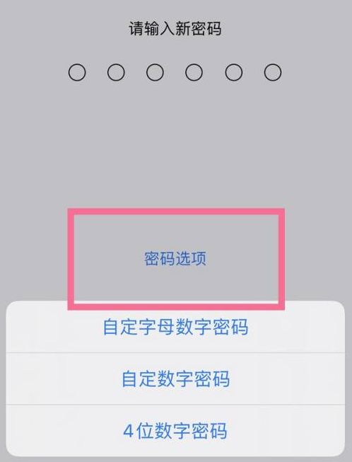 洪江苹果14维修分享iPhone 14plus设置密码的方法 