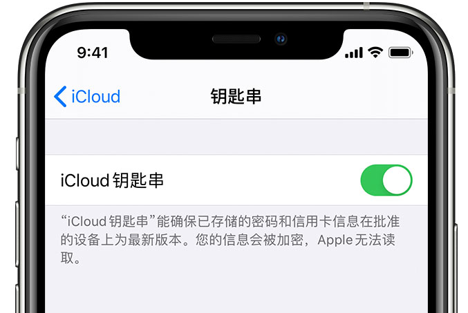 洪江苹果手机维修分享在 iPhone 上开启 iCloud 钥匙串之后会储存哪些信息 